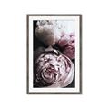 Picture of Blush Bloom _GroupedProduct_Rectangle_Portrait_Photography _GroupedProduct_Rectangle_Portrait_Framed_Matted_