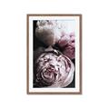 Picture of Blush Bloom _GroupedProduct_Rectangle_Portrait_Photography _GroupedProduct_Rectangle_Portrait_Framed_Matted_