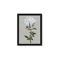 Picture of White flower I  _GroupedProduct_Rectangle_Portrait_Framed_Matted_