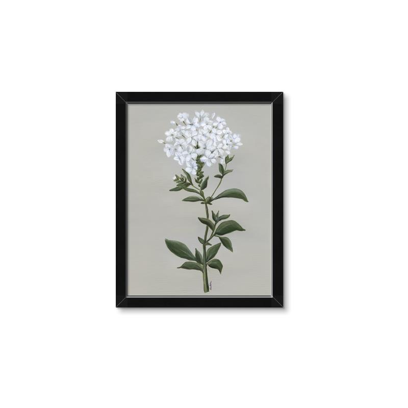 Picture of White flower I  _GroupedProduct_Rectangle_Portrait_Framed_Matted_
