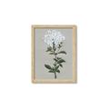 Picture of White flower I  _GroupedProduct_Rectangle_Portrait_Framed_Matted_