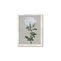 Picture of White flower I  _GroupedProduct_Rectangle_Portrait_Framed_Matted_