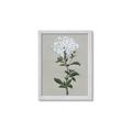 Picture of White flower I  _GroupedProduct_Rectangle_Portrait_Framed_Matted_