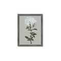 Picture of White flower I  _GroupedProduct_Rectangle_Portrait_Framed_Matted_