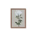 Picture of White flower I  _GroupedProduct_Rectangle_Portrait_Framed_Matted_