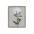 Picture of White flower I  _GroupedProduct_Rectangle_Portrait_Framed_Matted_