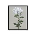 Picture of White flower I  _GroupedProduct_Rectangle_Portrait_Framed_Matted_