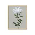 Picture of White flower I  _GroupedProduct_Rectangle_Portrait_Framed_Matted_