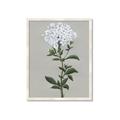 Picture of White flower I  _GroupedProduct_Rectangle_Portrait_Framed_Matted_