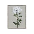 Picture of White flower I  _GroupedProduct_Rectangle_Portrait_Framed_Matted_