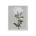 Picture of White flower I  _GroupedProduct_Rectangle_Portrait_Framed_Matted_