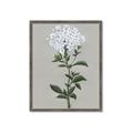 Picture of White flower I  _GroupedProduct_Rectangle_Portrait_Framed_Matted_