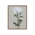 Picture of White flower I  _GroupedProduct_Rectangle_Portrait_Framed_Matted_