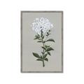Picture of White flower I  _GroupedProduct_Rectangle_Portrait_Framed_Matted_
