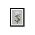 Picture of White flower I  _GroupedProduct_Rectangle_Portrait_Framed_Matted_
