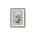 Picture of White flower I  _GroupedProduct_Rectangle_Portrait_Framed_Matted_