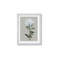 Picture of White flower I  _GroupedProduct_Rectangle_Portrait_Framed_Matted_