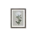 Picture of White flower I  _GroupedProduct_Rectangle_Portrait_Framed_Matted_