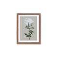 Picture of White flower I  _GroupedProduct_Rectangle_Portrait_Framed_Matted_