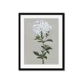 Picture of White flower I  _GroupedProduct_Rectangle_Portrait_Framed_Matted_