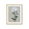 Picture of White flower I  _GroupedProduct_Rectangle_Portrait_Framed_Matted_