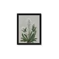 Picture of White flower II  _GroupedProduct_Rectangle_Portrait_Framed_Matted_