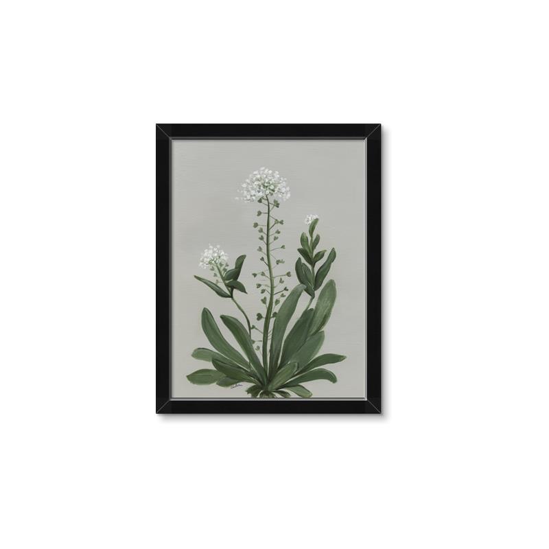 Picture of White flower II  _GroupedProduct_Rectangle_Portrait_Framed_Matted_