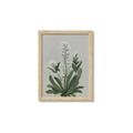 Picture of White flower II  _GroupedProduct_Rectangle_Portrait_Framed_Matted_