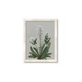 Picture of White flower II  _GroupedProduct_Rectangle_Portrait_Framed_Matted_