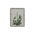 Picture of White flower II  _GroupedProduct_Rectangle_Portrait_Framed_Matted_