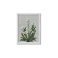 Picture of White flower II  _GroupedProduct_Rectangle_Portrait_Framed_Matted_