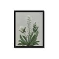 Picture of White flower II  _GroupedProduct_Rectangle_Portrait_Framed_Matted_
