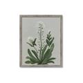 Picture of White flower II  _GroupedProduct_Rectangle_Portrait_Framed_Matted_