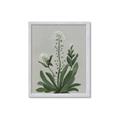 Picture of White flower II  _GroupedProduct_Rectangle_Portrait_Framed_Matted_