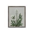 Picture of White flower II  _GroupedProduct_Rectangle_Portrait_Framed_Matted_