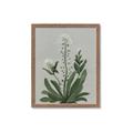 Picture of White flower II  _GroupedProduct_Rectangle_Portrait_Framed_Matted_