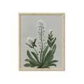 Picture of White flower II  _GroupedProduct_Rectangle_Portrait_Framed_Matted_