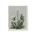 Picture of White flower II  _GroupedProduct_Rectangle_Portrait_Framed_Matted_
