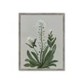 Picture of White flower II  _GroupedProduct_Rectangle_Portrait_Framed_Matted_