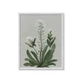 Picture of White flower II  _GroupedProduct_Rectangle_Portrait_Framed_Matted_