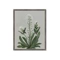 Picture of White flower II  _GroupedProduct_Rectangle_Portrait_Framed_Matted_