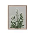 Picture of White flower II  _GroupedProduct_Rectangle_Portrait_Framed_Matted_