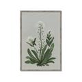 Picture of White flower II  _GroupedProduct_Rectangle_Portrait_Framed_Matted_