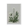 Picture of White flower II  _GroupedProduct_Rectangle_Portrait_Framed_Matted_