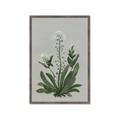 Picture of White flower II  _GroupedProduct_Rectangle_Portrait_Framed_Matted_