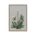 Picture of White flower II  _GroupedProduct_Rectangle_Portrait_Framed_Matted_
