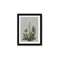 Picture of White flower II  _GroupedProduct_Rectangle_Portrait_Framed_Matted_
