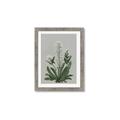 Picture of White flower II  _GroupedProduct_Rectangle_Portrait_Framed_Matted_