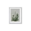 Picture of White flower II  _GroupedProduct_Rectangle_Portrait_Framed_Matted_