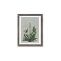Picture of White flower II  _GroupedProduct_Rectangle_Portrait_Framed_Matted_